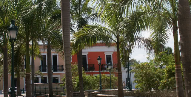 San Juan. Puerto Rico. 2005. Culture/Nature. Photo: A.A.Bispo©