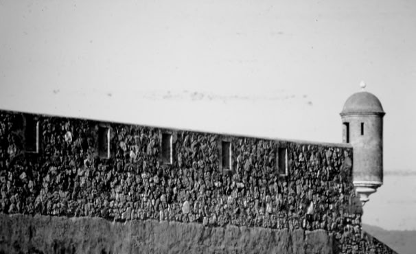 Dominican Republic. 2001. Global Studies: Culture Nature. Photo: A.A.Bispio©