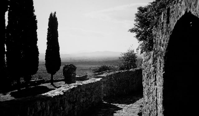 Mistras. Greece 1996 Global Studies: Culture/Nature. Photo: A.A.Bispo©