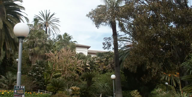 San Remo. Italy 2006. Culture/Nature. Photo: A.A.Bispo©