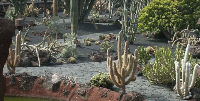 Lanzarote. Canary Island. 2006. Culture/Nature. Photo: A.A.Bispo©