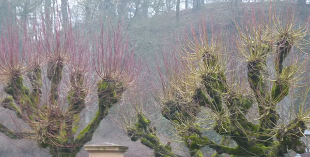 Bad Laasphe 2014. Germany.   Culture/Nature - Global Studies. Topic: Gardening and Landscaping. Garden design and architecture in cultural processes