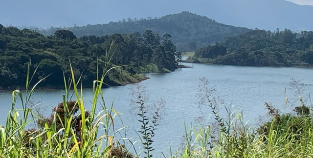 Joanópolis. São Paulo. 2024. Culture/Nature - Global Studies. Photo: A.A.Bispo©