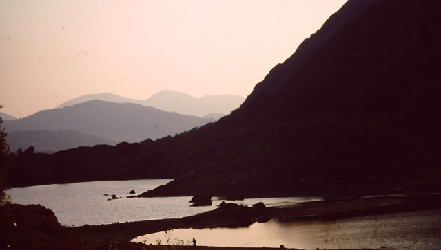 Killarney National Park. Irland 1995. Global Studies: Culture/Nature. Photo A.A.Bispo©