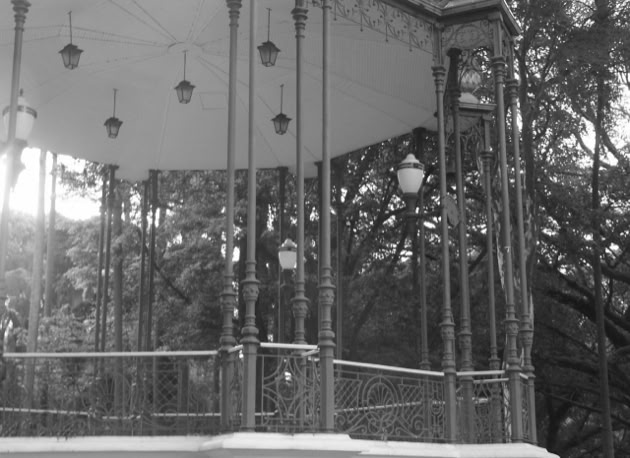 Jardim da Luz. São Paulo. Global Studies: Culture/Nature. Photo A.A.Bispo