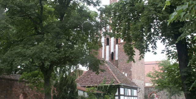 Neubrandenburg. Germany 2007. Culture/Nature. Photo A.A.Bispo©