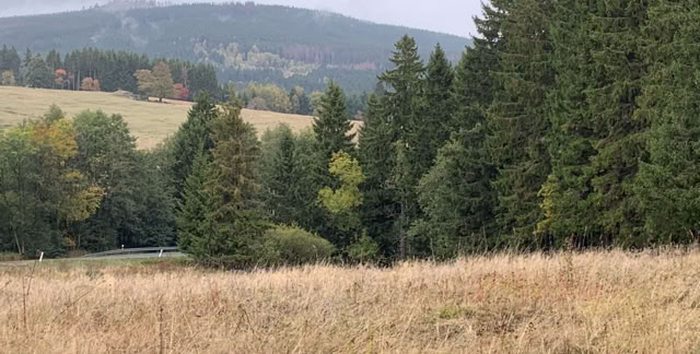 Harz.- low mountains ranges Germany. Lower Saxony, Saxony-Anhalt, Turingia 2019. Culture/Nature - Global Studies. Photo A.A.Bispo©