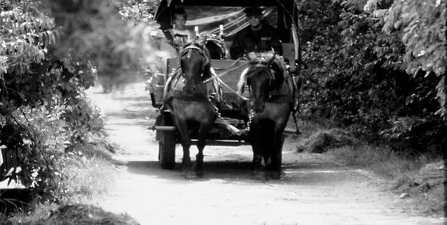 Rügen. Germany 1997. Global Studies: Culture/Nature. Photo: A.A.Bispo©