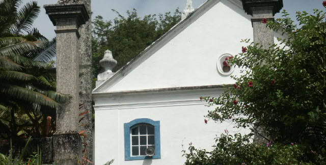 Sítio Burle Marx. Guaratiba, Rio de Janeiro. 2004. Global Studies: Culture/Nature. Photo: A.A.Bispo©