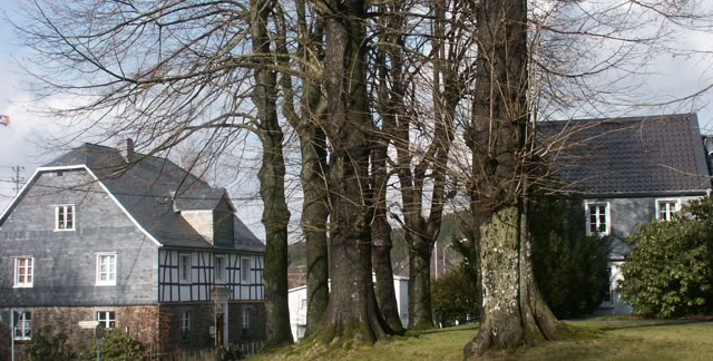 Hülsenbusch. Germany 2006. Culture/Nature. Photo: A.A.Bispo©