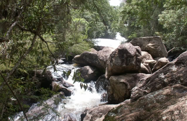 Studies center in Brazil for the promotion and accommodation of institutions with similar purposes The Mantiqueira Mountains, Joanópolis, São Paulo