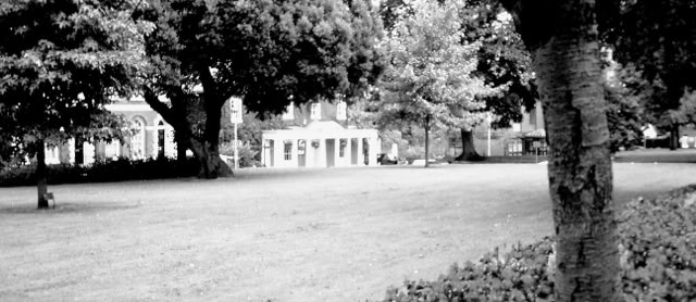 Exeter 1988. Global Studies: Culture/Nature. Photos A.A.Bispo©