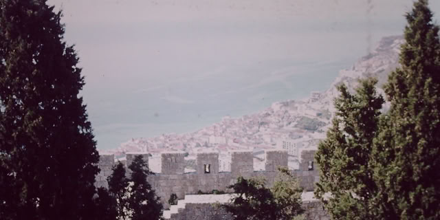 The Algarve.Portugal 1982. Global Studies: Culture/Nature. Photo A.A.Bispo©