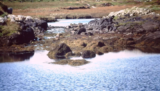 Connemara national park. Irland 1995. Global Studies: Culture/Nature. Photo A.A.Bispo©