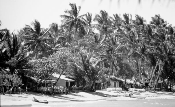 Samana. Dominican Republic 2001. Global Studies: Culture/Nature. Photo: A.A.Bispo©