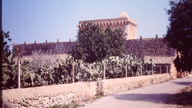 Majorca, 1984. Global Studies: Culture/Nature. Photo: A.A.Bispo©