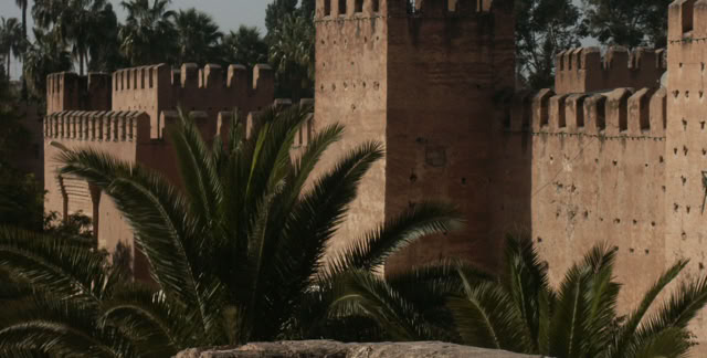 Taroudant. Marroco. 2006. Culture/Nature. Photo: A.A.Bispo©