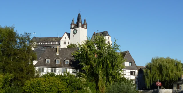 Dietz. Germany 2012. Culture/Nature. Photo: A.A.Bispo©