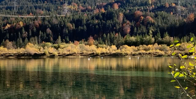 Krün, Bavaria 2021. Culture/Nature - Global Studies. Photo A,A.Bispo©