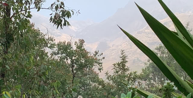 Santiago. Cabo Verde 2023. Culture/Nature - Global Studies. Photo: A.A.Bispo©