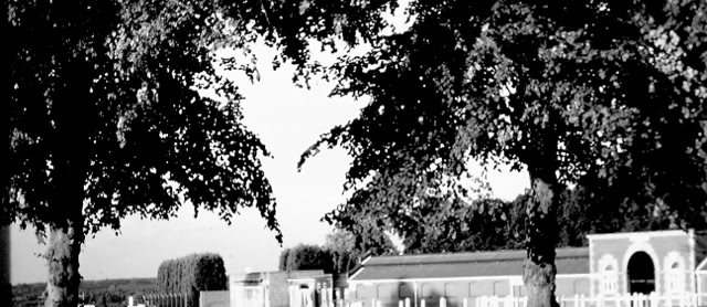 Ascot. 1988. Global Studies: Culture/Nature. Photos A.A.Bispo©