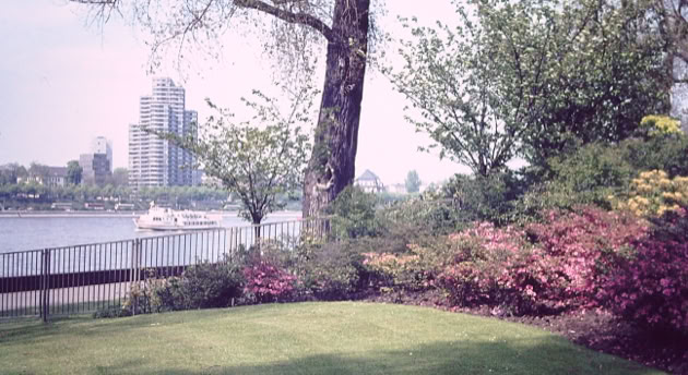 Cologne, Germany 1987. Global Studies: Culture/Nature. Photo A.A.Bispo©