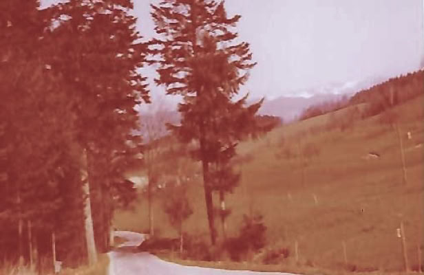 Black Forest. Germany 1980. Global Studies: Culture/Nature. Photo: A.A.Bispo©