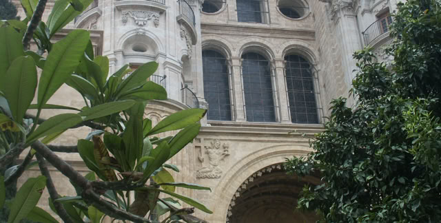 Malaga. Spain 2006. Culture/Nature. Photo A.A.Bispo©