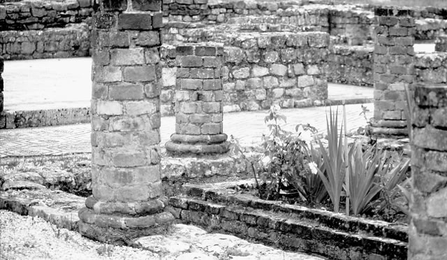 Conimbriga.Portugal 1996. Global Studies: Culture/Nature. Photo: A.A.Bispo©