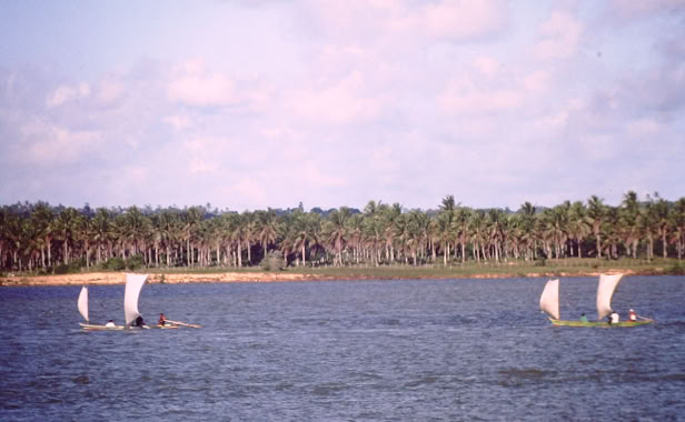 São Francisco 1972. Global Studies: Culture Nature. Photo: A.A.Bispo©