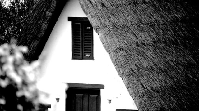 Santana. Madeira.1989. Global Studies: Culture/Nature. Photo: A.A.Bispo©