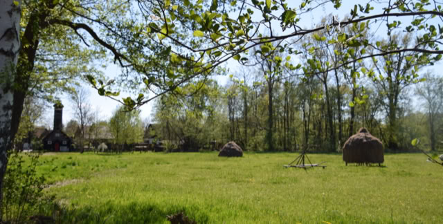 Spreewald. Lübbenau. Brandenburg. Germany 2019. Culture/Nature - Global Studies. Photo A.A.Bispo©