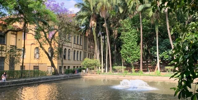 São Paulo. Fernando Costa Parc. Água Branca. Brazil. 2019. Culture/Nature - Global Studies. Photo A.A.Bispo©