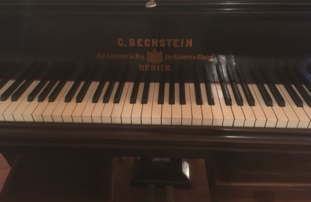 Studies center in Brazil for the promotion and accommodation of institutions with similar purposes. The Mantiqueira Mountains, Joanópolis, São Paulo