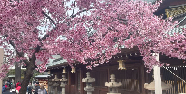 Fukuoka. Japan 2024. Culture/Nature - Global Studies. Topic: Religion, Garden Design and its Place in the Landscape. Views and Perspectives. Photo © A.A.Bispo