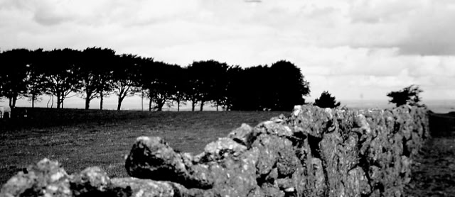 Dartmoor 1988. Global Studies: Culture/Nature. Photos A.A.Bispo©