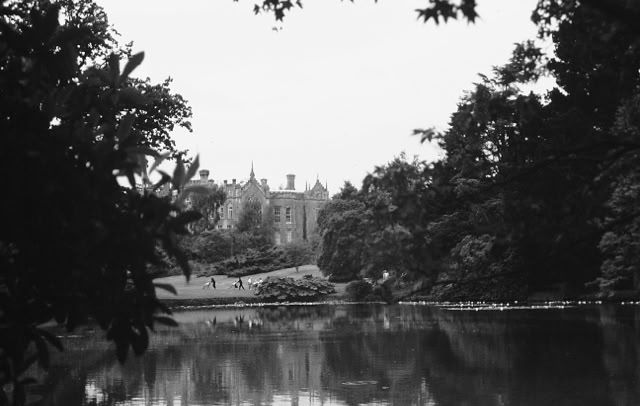 Sheffield Park 1988. Global Studies: Culture/Nature. Photos A.A.Bispo©