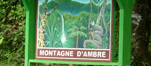 Madagascar 2015. Program Culture/Nature in the Global Studies, Parc National Montagne d'Ambre
