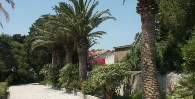 Caprera. Sardinia 2005. Global Studies: Culture/Nature. Photo: A.A.Bispo©