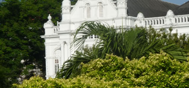 Penang. Malaysia. 2011. Culture/Nature. Photo: A.A.Bispo©