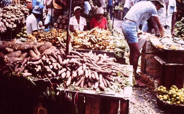 Salvador, Bahia 1972. Global Studies: Culture/Nature. Photo A.A.Bispo©