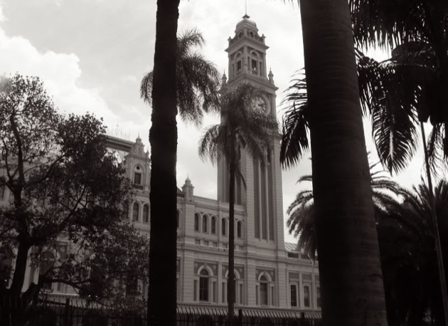 Jardim da Luz. São Paulo. Global Studies: Culture/Nature. Photo A.A.Bispo