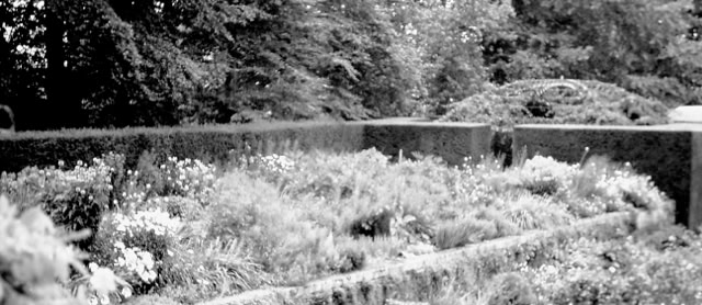 Castle Drofo. 1988. Global Studies: Culture/Nature. Photo: A.A.Bispo©