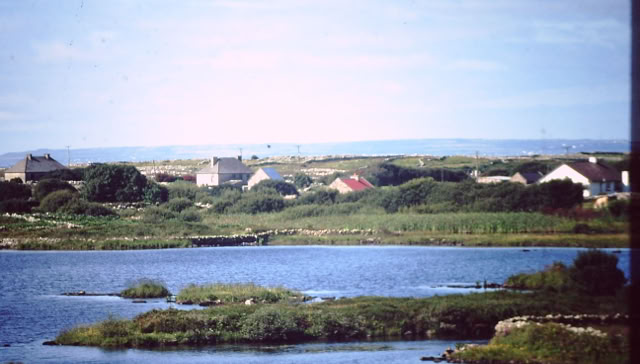Connemara national park. Irland 1995. Global Studies: Culture/Nature. Photo A.A.Bispo©