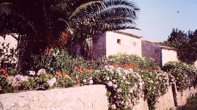 Majorca, 1984. Global Studies: Culture/Nature. Photo: A.A.Bispo©
