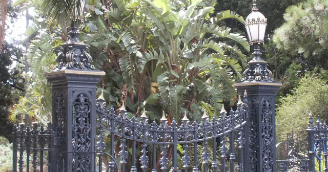 Adelaide. Australia 2009.Culture/Natures. Photo: A.A.Bispo©