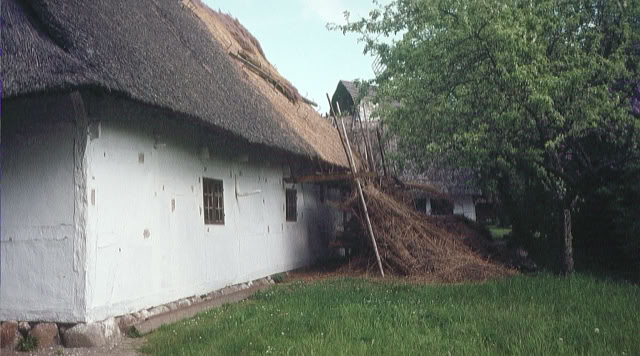 Denmark 1983. Global Studies: Culture/Nature. Photo: A.A.Bispo©