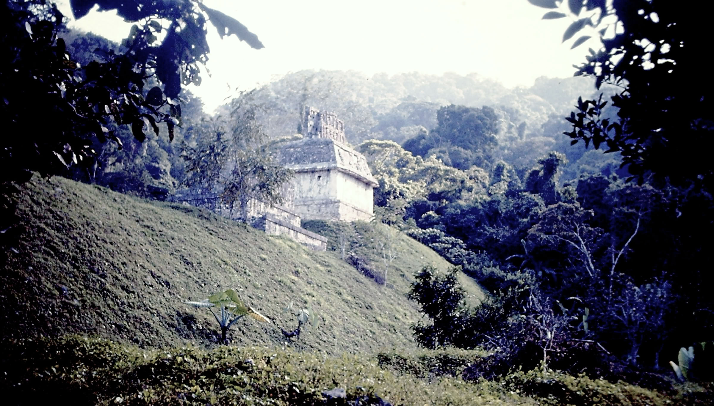 Cultural Archeology. Research in Mexico. Palenque. Global Studies: Culture/Nature