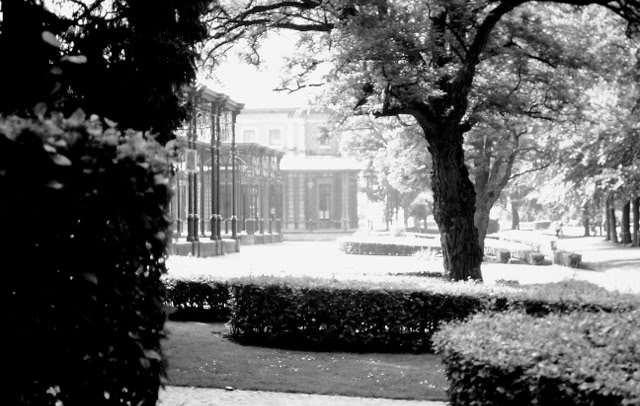 Spa. Belgium 1988. Global Studies: Culture/Nature. Photos A.A.Bispo©
