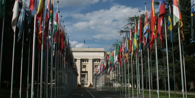 Geneva. Switzerland. 2005. Culture/Nature. Photo: A.A.Bispo©